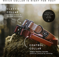 MADE TO ROAM Explorer Dog Collar - Michigan Autumn / Size 4 - image 4