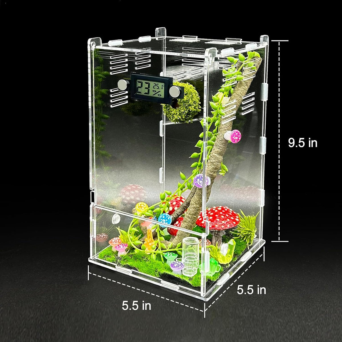 Jumping Spider Enclosure, DIY Insects Habitat - Luminous mushrooms - image 3