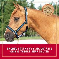 Weaver Equine Breakaway Horse Halter, Comfort Foam Padding, Adjustable Chin & Throat Snap Halters for Horses, Equine Tack,Average Size, Blue