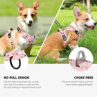 Timos Dog Harness, No Pull Large Sized with 3 Buckles - X-Small / Normal-Pink - image 3