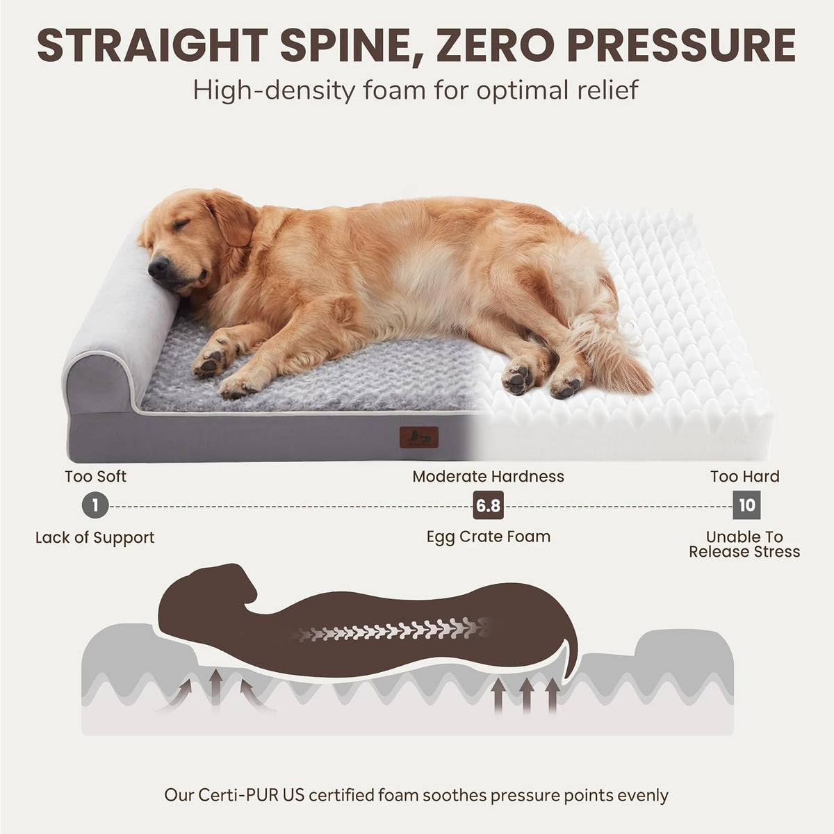 Orthopedic Large Dog Bed，Washable Dog Couch for XL Senior Dogs – Essentials for Dogs - Light Grey / 48"L x 35"W x 8"Th - image 2