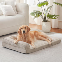 Orthopedic Dog Bed for Large Dogs - 31"L x 25"W x 6.5"Th / Beige