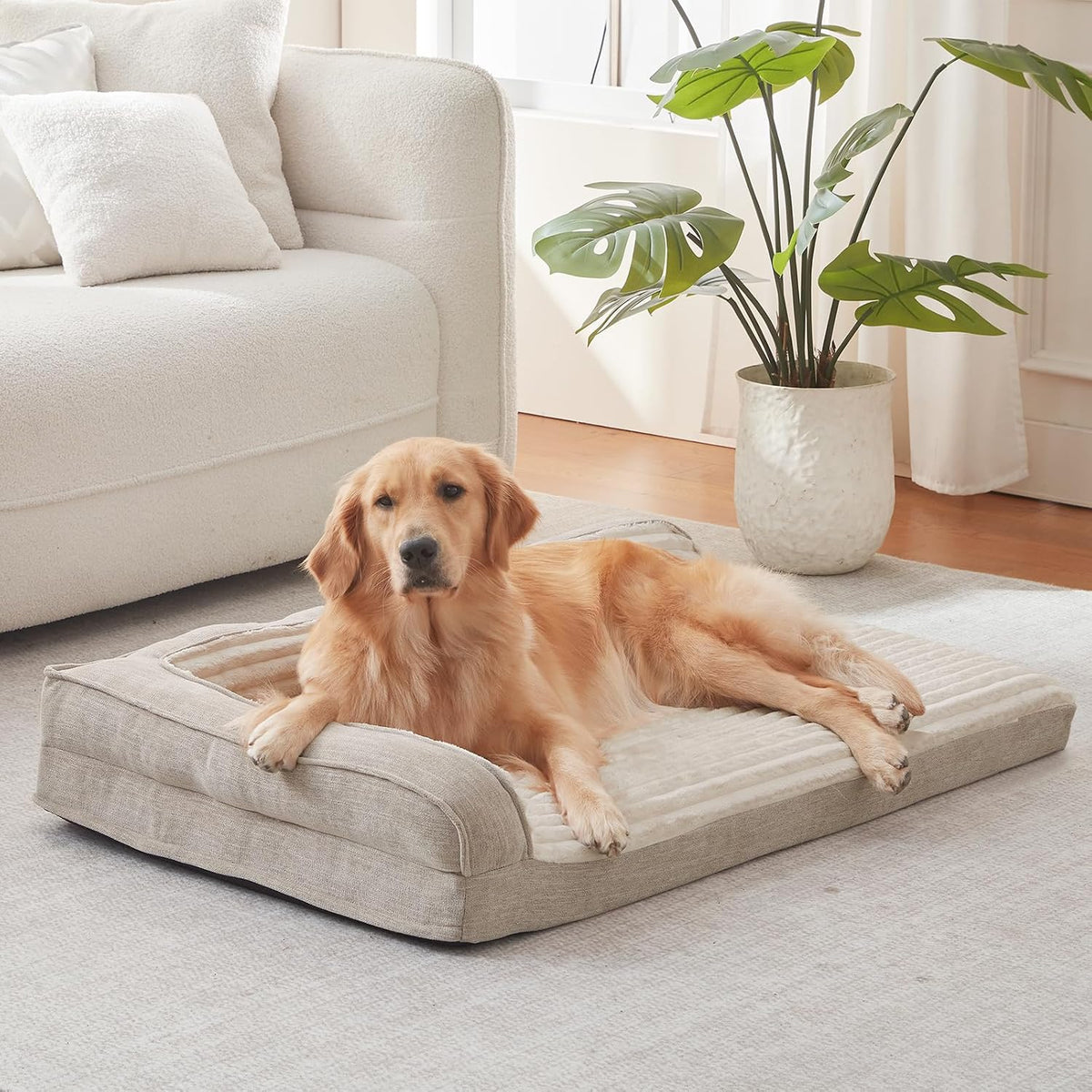 Orthopedic Dog Bed for Large Dogs - 31"L x 25"W x 6.5"Th / Beige