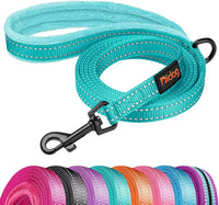 6FT Reflective Dog Leash for Small Medium Dogs, 5/8" Width - Teal / 5/8''x 6 FT