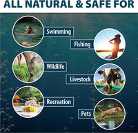 Airmax Pond Dye Packets Nature's Blue Colorant for Large Pond & Lake, Beneficial UV Blocking Color Concentrate, Maintain Clean & Clear Water, Fish Safe, Easy Treatment, 2 Soluble Packets