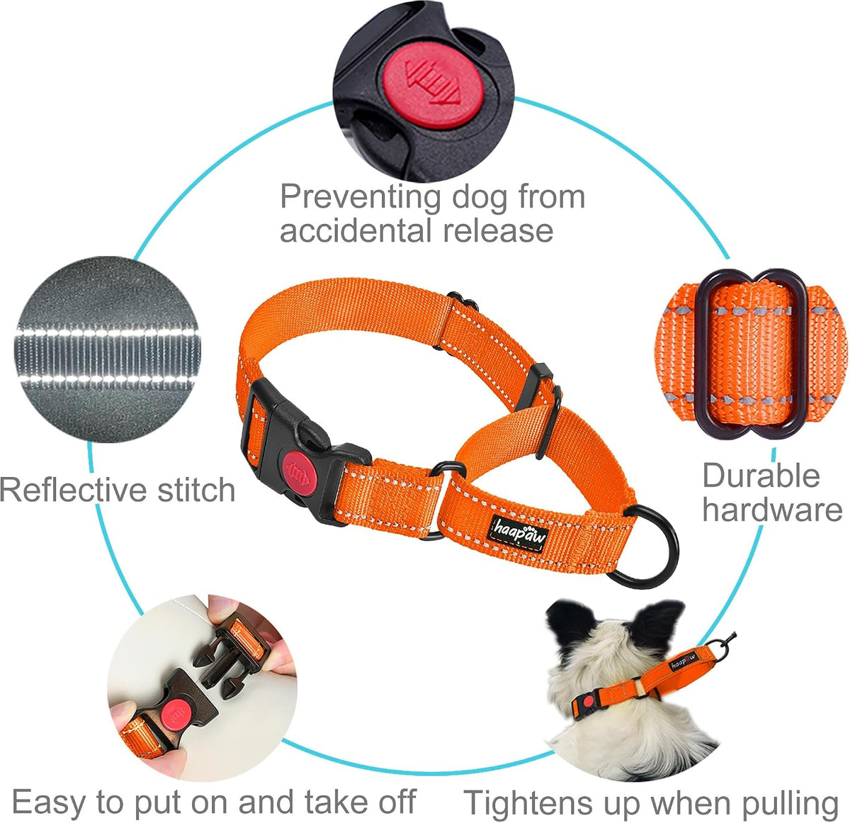 Haapaw Escape-Proof Martingale Dog Collar - Orange / L / 2-Pack Collars - image 2