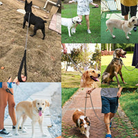 Chain Heavy Duty Metal Dog Leash - 6FTx3mm (30-120 lbs) - image 3