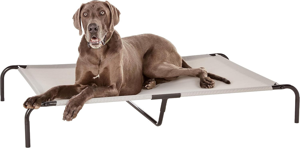 Amazon Basics Cooling Breathable Elevated Dog Bed with Durable Metal - Grey / X-Large