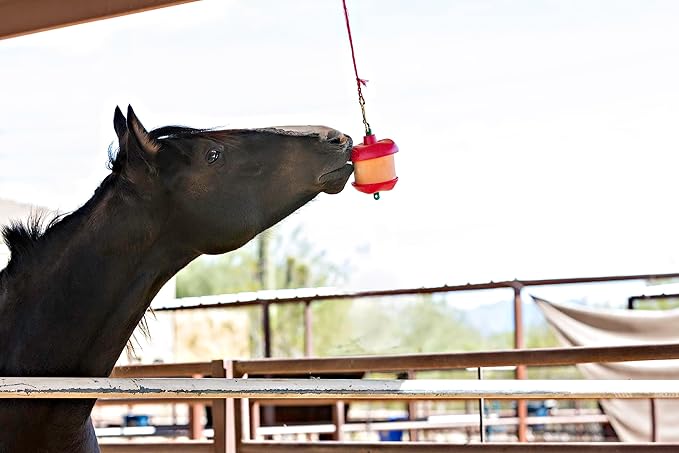 Horsemen's Pride Stall Snack Treat Holder & Refill for Horses; Apple Flavor