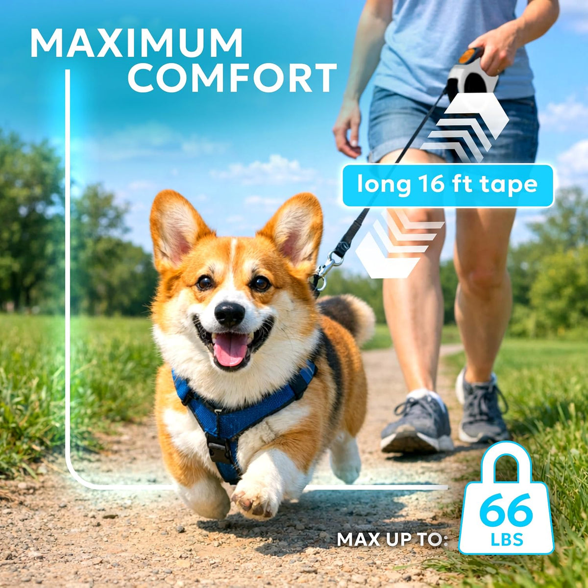 Retractable Dog Leash for Pets Up to 66 lbs - image 2