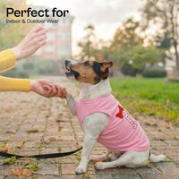 Parisian Pet Dog Shirt, 100% Cotton Shirts for Medium Dogs - Big Sister / Large (12-18lbs) - image 4