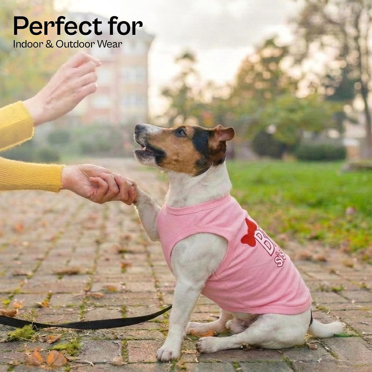 Parisian Pet Dog Shirt, 100% Cotton Shirts for Medium Dogs - Big Sister / Large (12-18lbs) - image 4