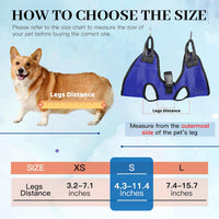 PatiencET Cat Grooming Hammock Kit – Essentials for Dogs - S (17 LB Max) / Blue - image 3
