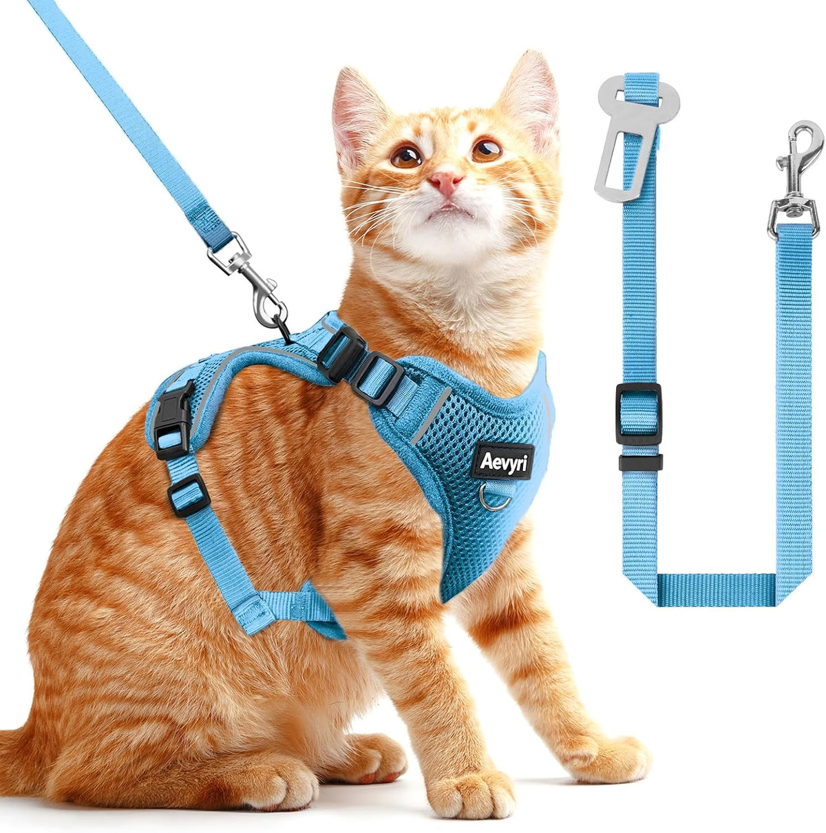 Cat Harness, Cat Harness and Leash for Walking - Blue / M(7-12lb)
