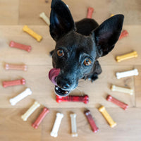 Nylabone Power Chew Customer Favorites Dog Chew Toys - Small / Bundle - image 4