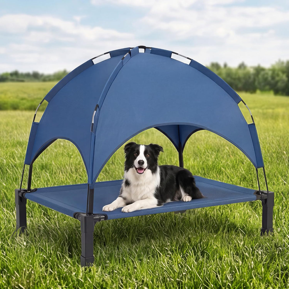 Elevated Dog Bed Raised Cooling Dog Cot for Large Dogs - Blue / 42.1"L x 31"W x 37"H