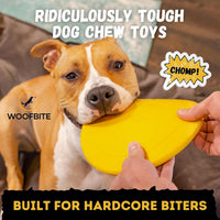 "Indestructible Dog Disc, Lifetime Replacement - image 2