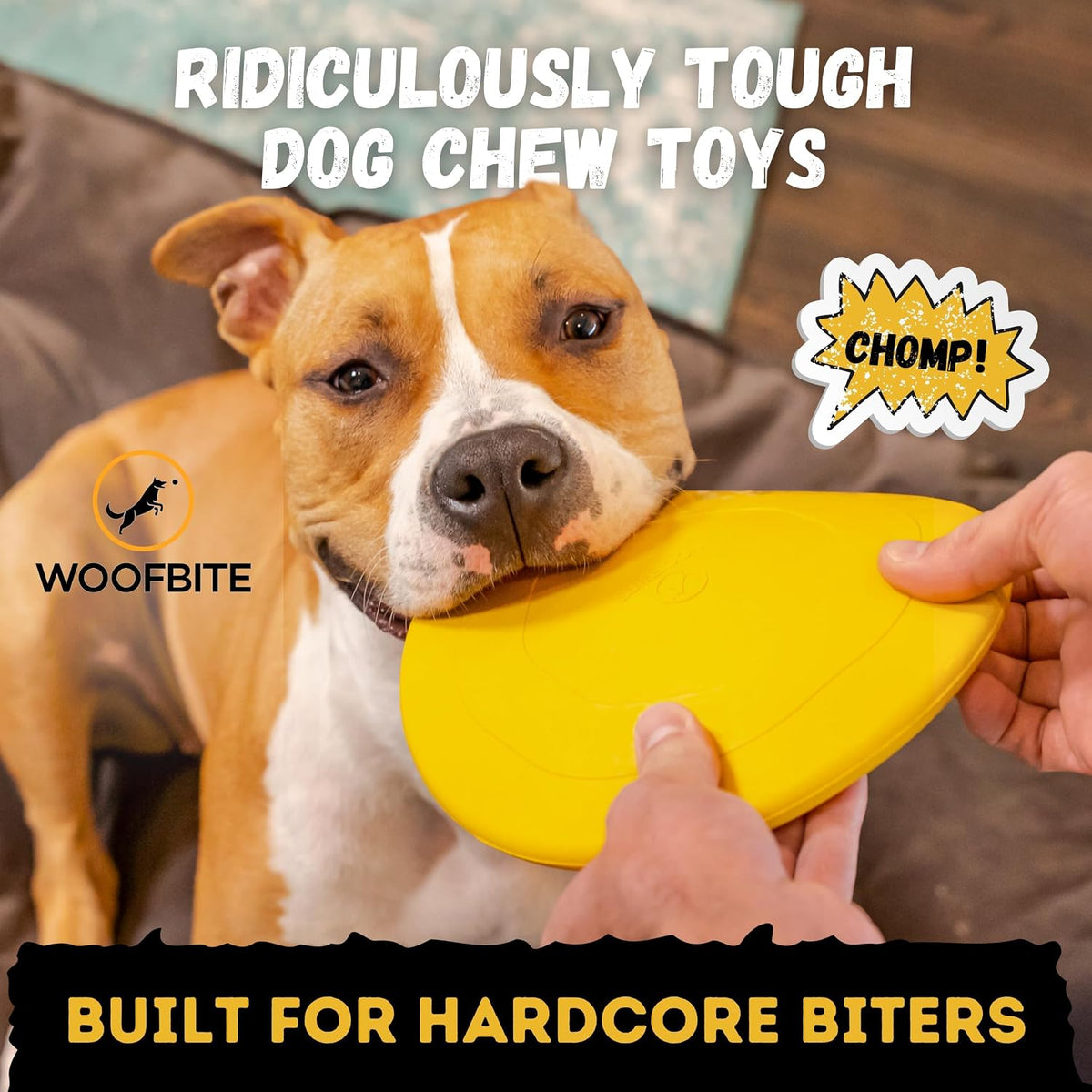 "Indestructible Dog Disc, Lifetime Replacement - image 2