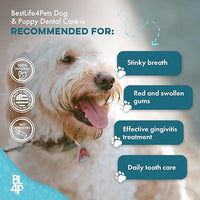 Dog Bad Breath Treatment & Dog Dental Care Solution, Natural Supplement for Canine Oral Health, Canine Tooth Pain Relief, Plaque Control, Gum Disease, Gingivitis, 400 Odorless, Tasteless Pills