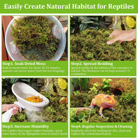 14OZ Natural Sphagnum Moss for Reptile Terrarium Substrate Bedding – Daily Care for Reptiles And Amphibians - 3.5 OZ - image 4