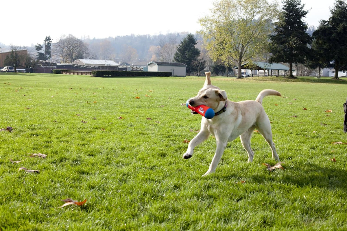 Triangular Fetch & Tug Dog Toy by Chuckit! – Essentials for Dogs - Medium / Tumbler Bumper - image 3