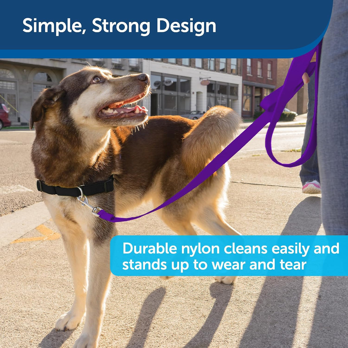 PetSafe Nylon Dog Leash, Strong, Durable - 1 in. x 6 ft. / Deep Purple - image 4