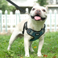 PUPTECK Dog Harness and Leash Set Small Sized - L (25-33lbs, Chest 20"-25") / #1 Blue(Breathable Mesh) - image 2