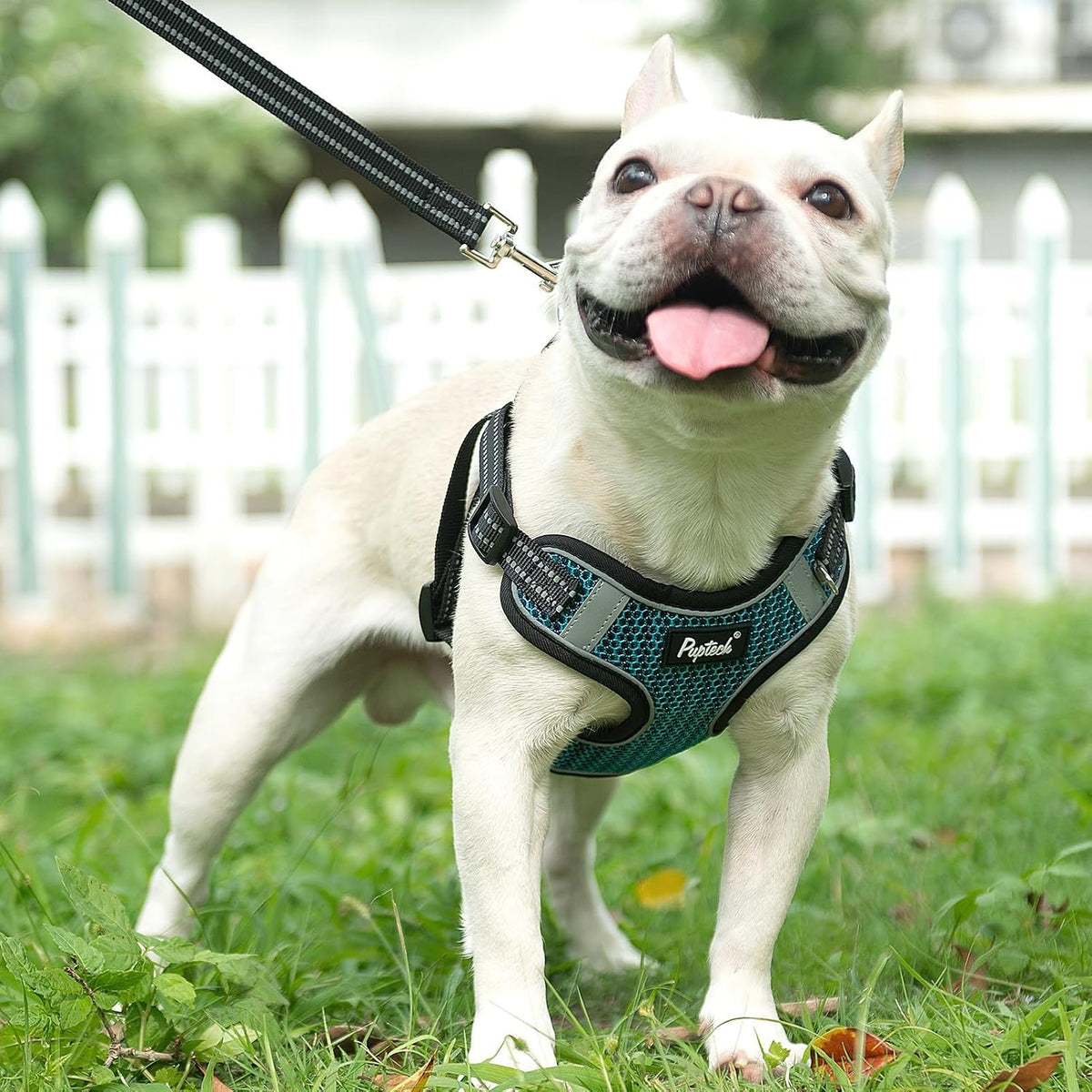 PUPTECK Dog Harness and Leash Set Small Sized - L (25-33lbs, Chest 20"-25") / #1 Blue(Breathable Mesh) - image 2