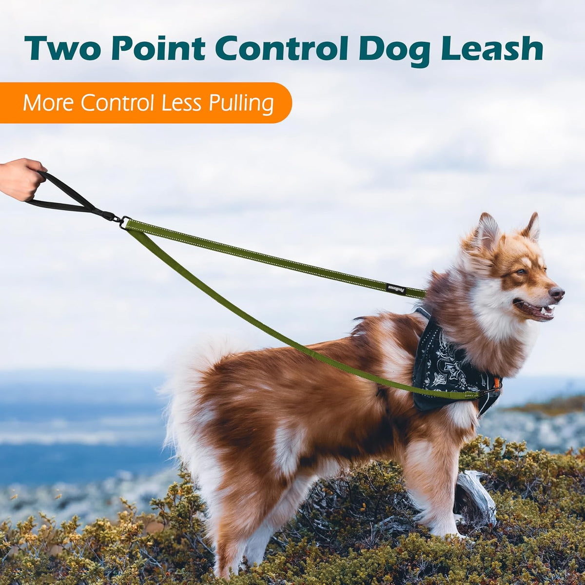 Two Point Control Dog Leash, No Tangle Training Walking Leashes – Essentials for Dogs - Khaki Green - image 2