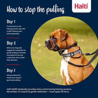 Halti Optifit Headcollar for Dogs, Size L - image 4