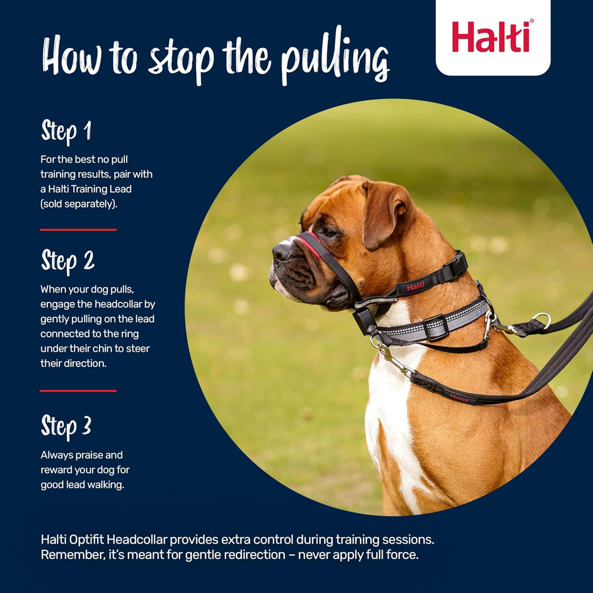 Halti Optifit Headcollar for Dogs, Size L - image 4
