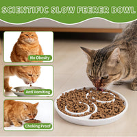 Ceramic Cat Slow Feeder,Shallow and Wide Opening Dish for Whisker Friendly – Essentials for Cats - Tai Chi Maze - image 3
