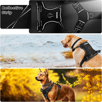 WINSEE Dog/Pet Harnesses No Pull with Dog Collar - X-Large / Black - image 3
