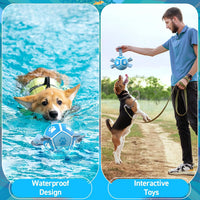 QDAN Dog Balls, Outdoor Dog Toys - Small Size 1 / White-Blue - image 3