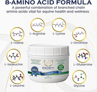 100-Day Supply Horse XL Supplements – Horse Care Weight Gain Supplement W/ 8 Amino Acids - No Soy or Sugar Coat Defense for Horses - Joint Supplement, Equine Supplies & Hoof Supplements