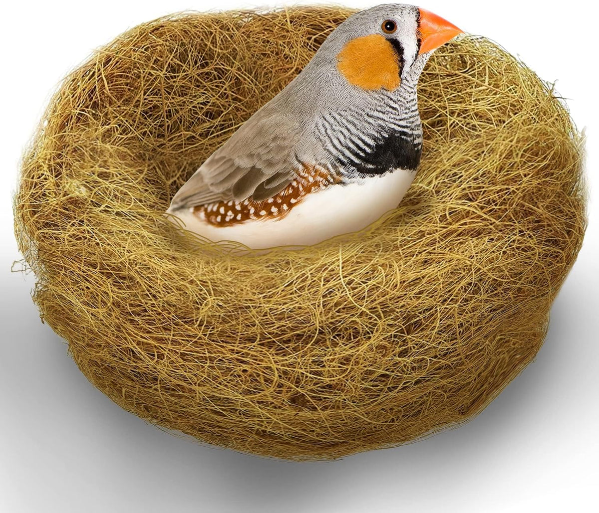 SunGrow Finch Coconut Fiber - Coconut Fiber, 3 ounce - image 2