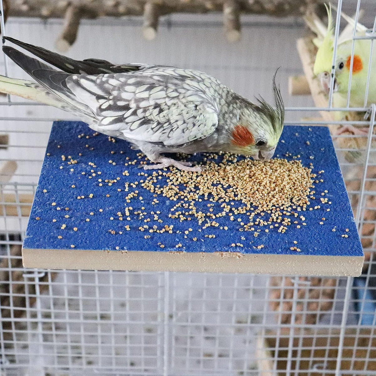 15.7×10.4 Inches Large Bird Perch Stand Platform - 7.9 × 5.9 Inches Blue - image 3