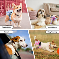 Reusable Dog Diapers Female Washable - Multi Color Tie-Dye / XX-Large - image 4