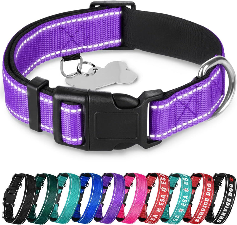 Reflective Neoprene Padded Dog Collar with Quick Release Buckle – Essentials for Dogs - Purple / Small
