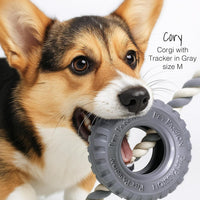 Pet Passion Natural Rubber Tire and Organic Cotton Rope Pull and Chew - Almond Milk / Small - image 3