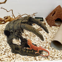 kathson Reptile Resin Dinosaur Skull Decoration Bearded Dragon Tank - Type：sabertooth tiger-C - image 3