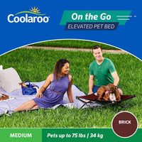 Coolaroo On-The-Go Elevated Dog Bed - Medium / Brick - image 4