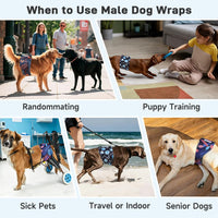 Langsprit Small Male Dog Diapers for Doggie Puppy - Vibrant Leaves / Small / 5 - image 3
