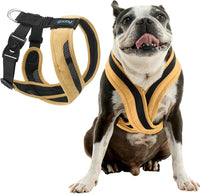 Gooby Comfort X One Dog Harness, Choke-Free - 2X-Small Chest (10.5-12.5") / Miami Yellow