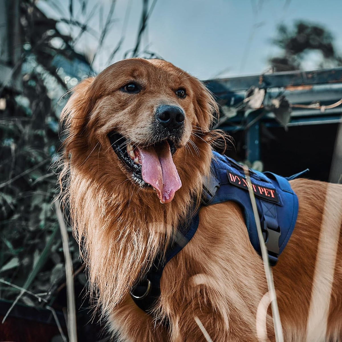 OneTigris Tactical Dog Harness No-Pull Service Vest for Medium Large - Medium / Blue - image 2