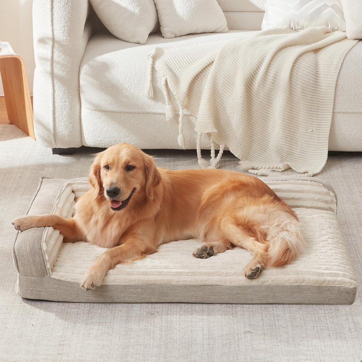 Orthopedic Dog Bed for Large Dogs - 31"L x 25"W x 6.5"Th / Beige - image 3