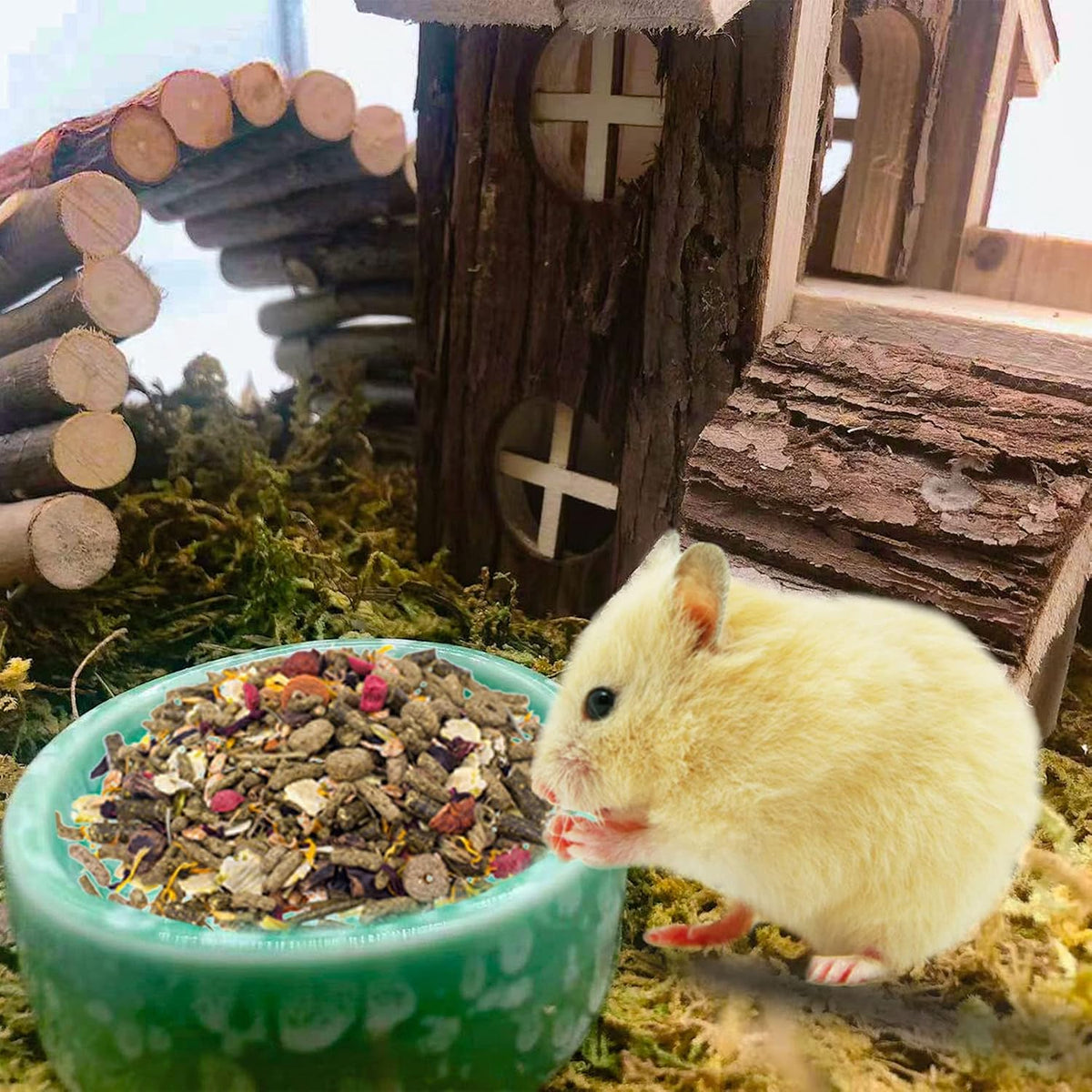 2 Pcs Hamster Food Bowl Guinea Pig Ceramic Water Bowl Small Animal - Green / 2Pcs:S - image 2