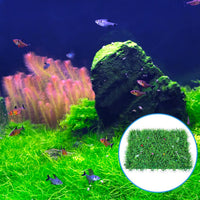 AQUANEAT 20 Pack Suction Cups with 40 Zip Ties for Aquarium Fish Tank - image 4