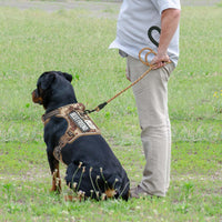 Beebiepet Tactical No Pull Dog Harness with Leash - Desert Camo / Large - image 3