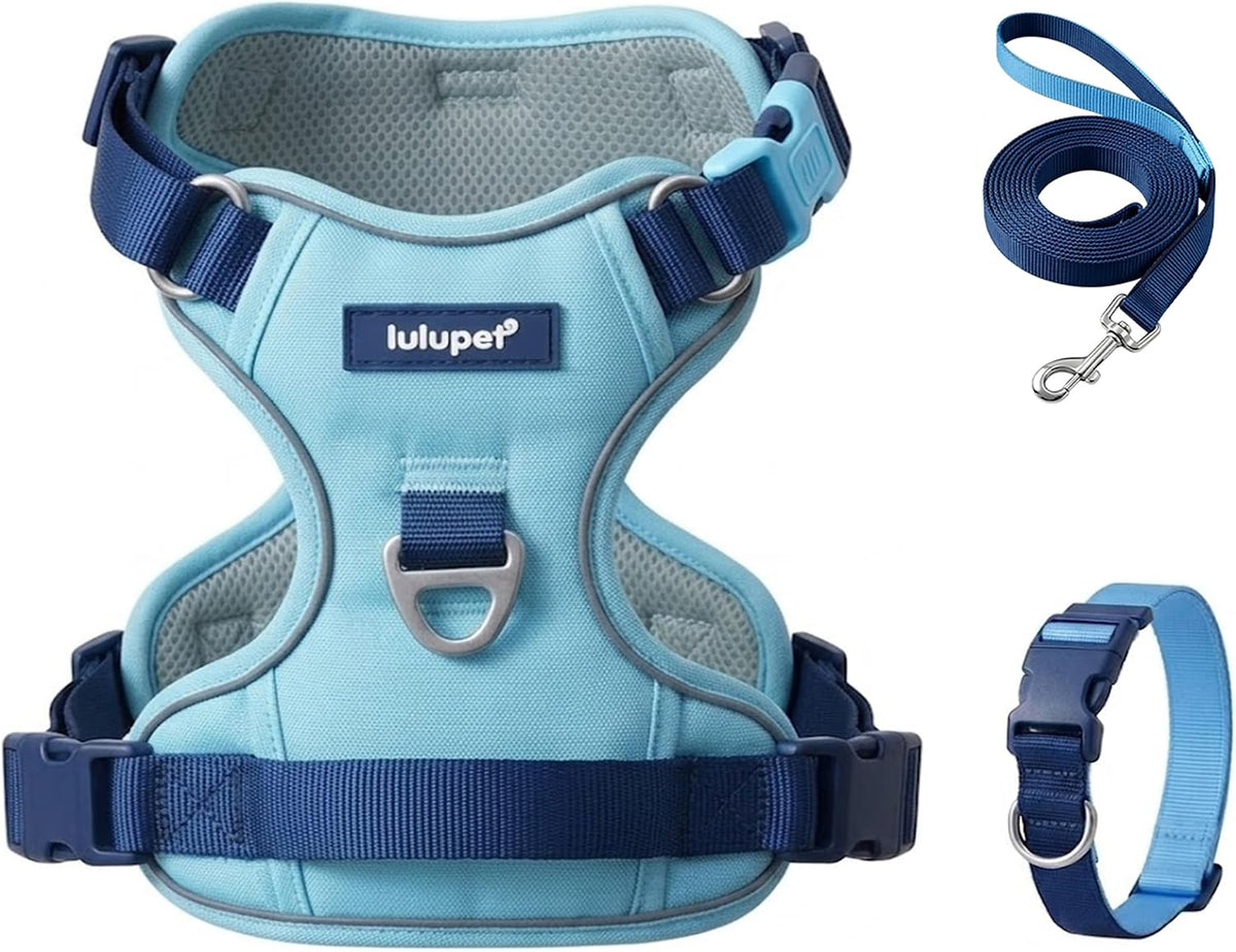 Dog Harness and Leash Set with Collar - Blue / M(Neck:18.1-28.3",Chest:21.3-28.3")
